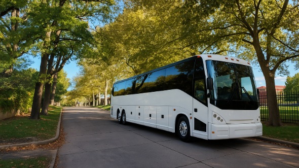 boulder wedding bus rental